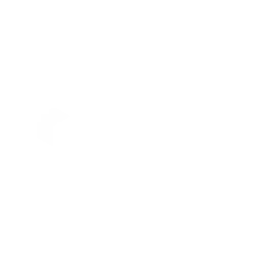 Fluent